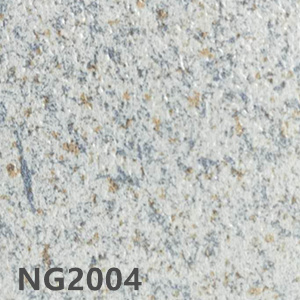 NG2004